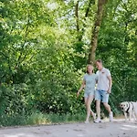 בית נופש Sfeervol Houten Met Omheinde Tuin Op De Veluwe