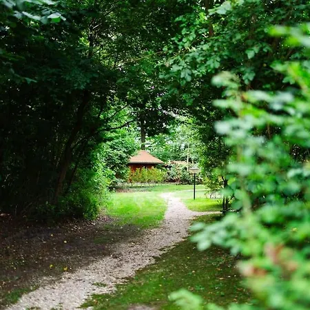 Sfeervol Houten Met Omheinde Tuin Op De Veluwe בית נופש