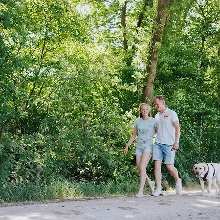 펜션 Sfeervol Houten Met Omheinde Tuin Op De Veluwe