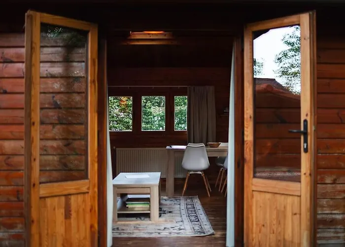 Sfeervol Houten Met Omheinde Tuin Op De Veluwe Epe