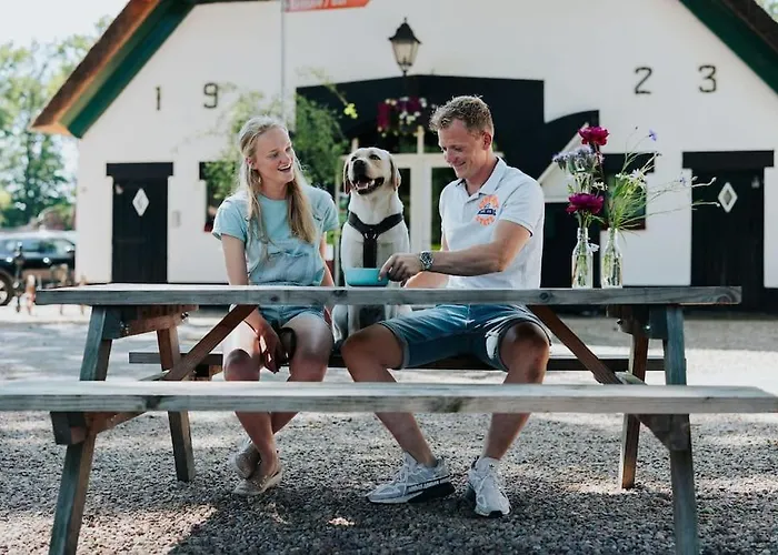 Sfeervol Houten Met Omheinde Tuin Op De Veluwe * Epe