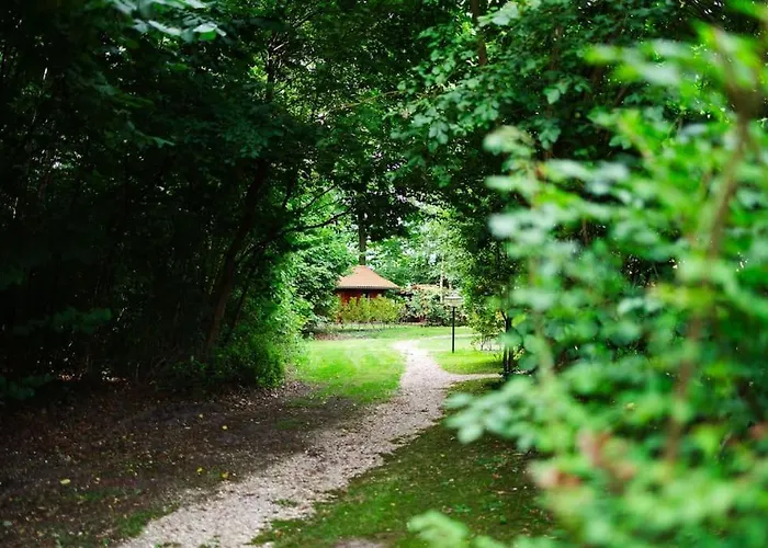 Sfeervol Houten Met Omheinde Tuin Op De Veluwe Holiday home