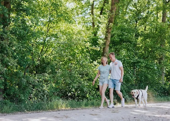 Holiday home Sfeervol Houten Met Omheinde Tuin Op De Veluwe