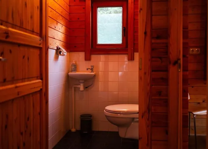 Holiday home Sfeervol Houten Met Omheinde Tuin Op De Veluwe *