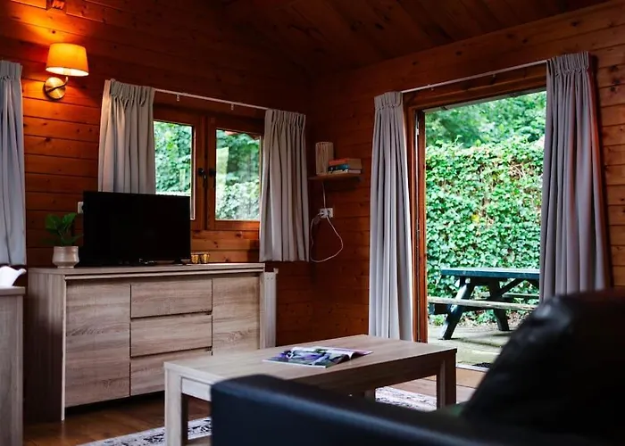 Sfeervol Houten Met Omheinde Tuin Op De Veluwe Epe