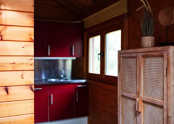 Sfeervol Houten Met Omheinde Tuin Op De Veluwe