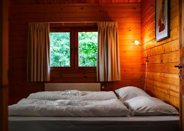 Sfeervol Houten Met Omheinde Tuin Op De Veluwe Holiday home