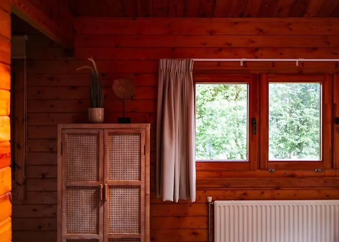 Sfeervol Houten Met Omheinde Tuin Op De Veluwe Holiday home Epe