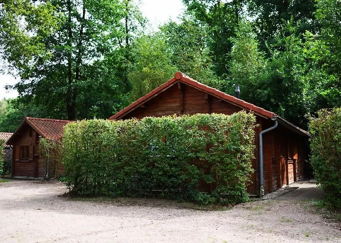 Sfeervol Houten Met Omheinde Tuin Op De Veluwe * Epe