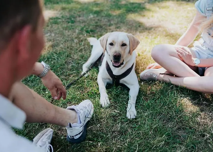 Holiday home Sfeervol Houten Met Omheinde Tuin Op De Veluwe *