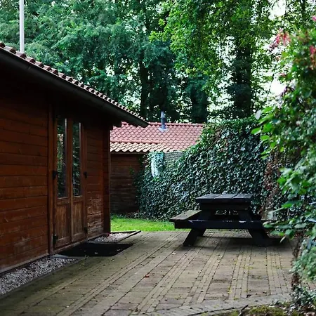 Sfeervol Houten Met Omheinde Tuin Op De Veluwe Epe